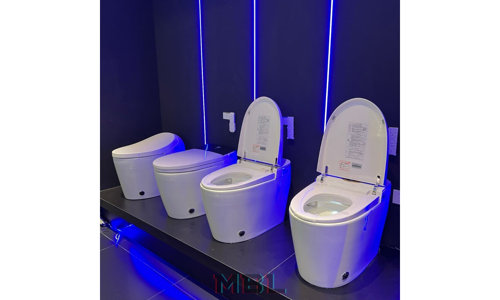Smart toilet