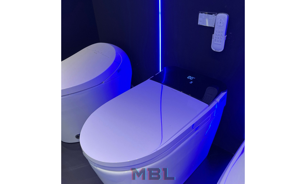Smart toilet