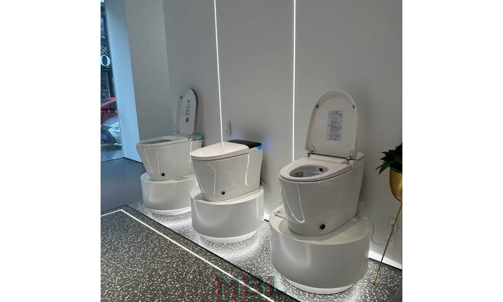 Smart WC OKASA