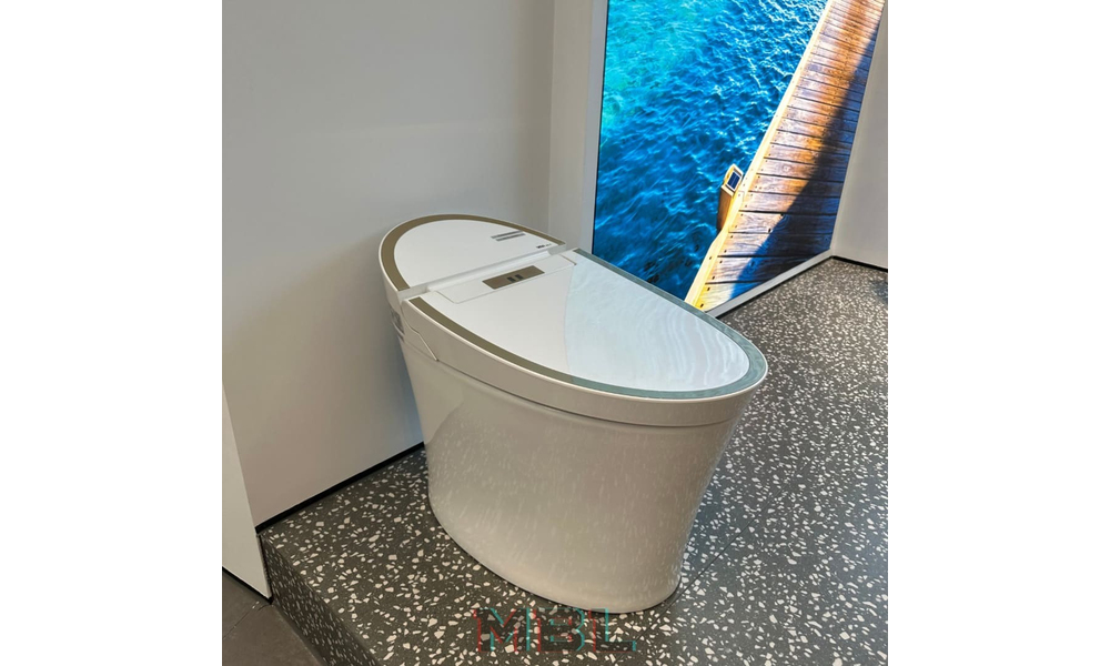 OKASA Smart Toilet