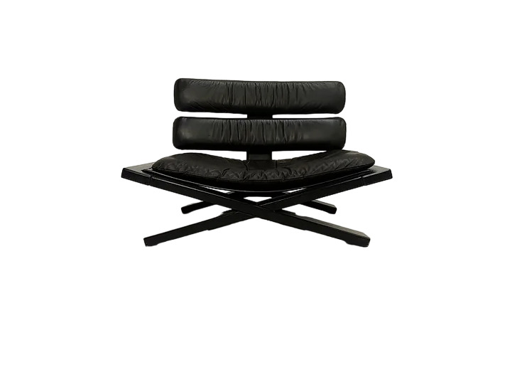 Sonja Wasseur Buddha Armchair в интерьере