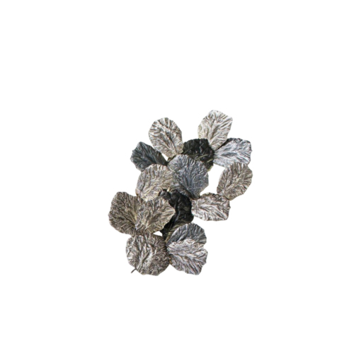 SERIP Pathleaf AP1471/6 wall lamp