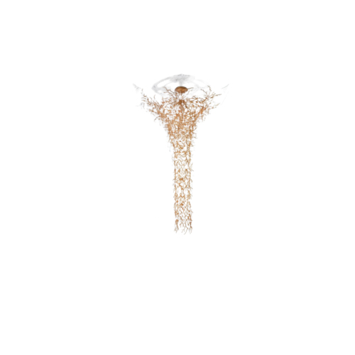 Chandelier SERIP Coral CT3368/70