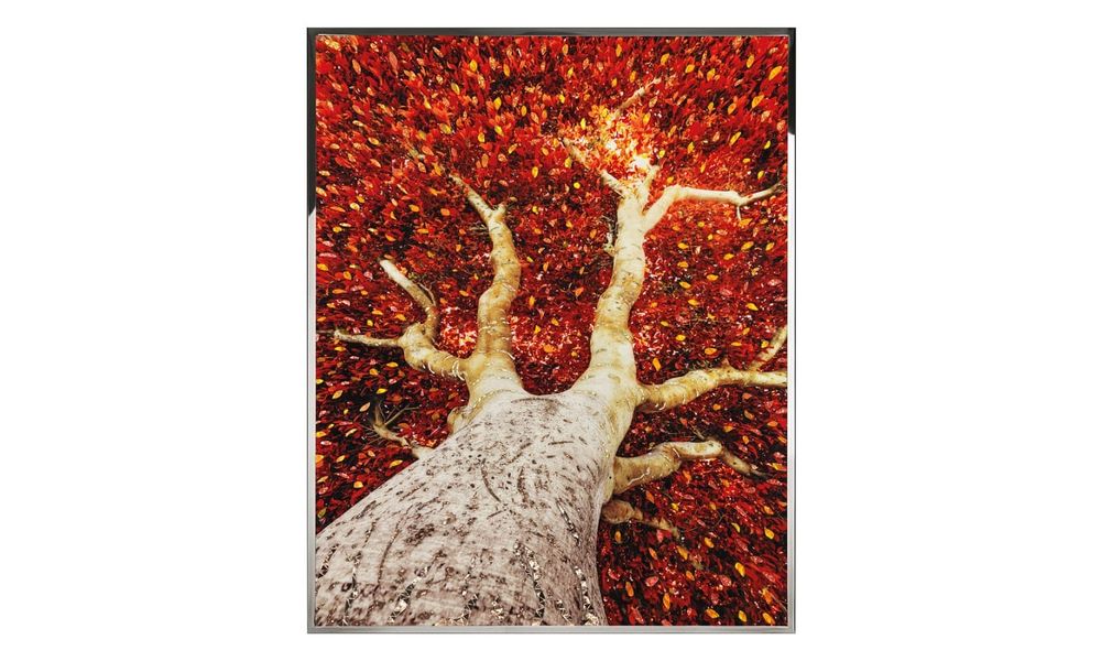 Painting Visionnaire Albero
