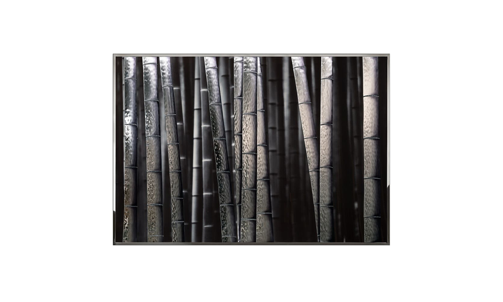 Painting Visionnaire Bambu