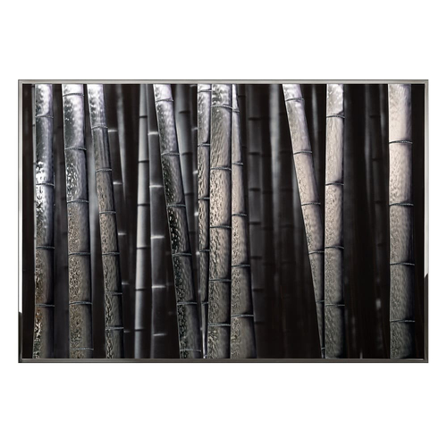 Painting Visionnaire Bambu