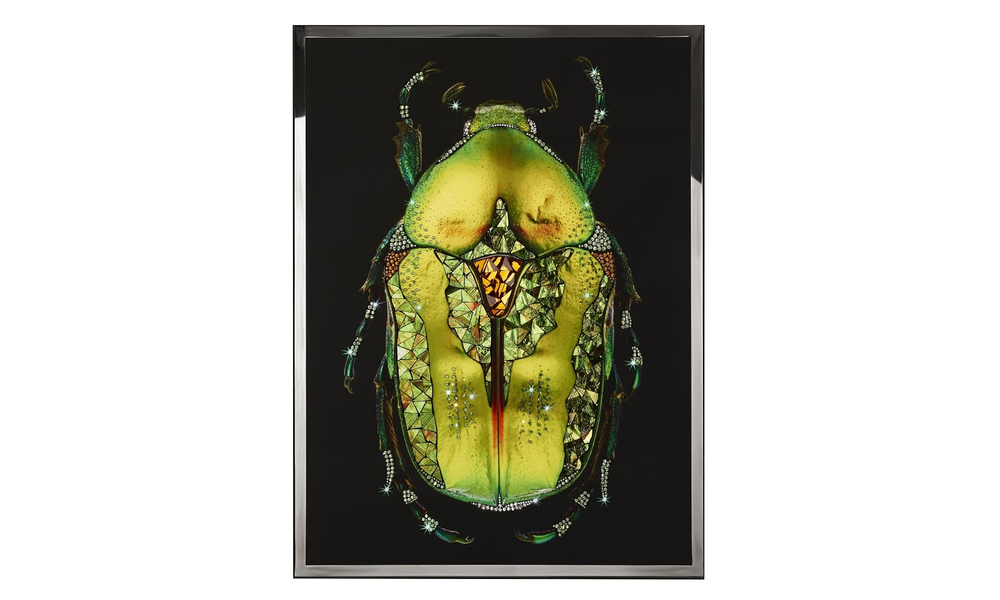 Painting Visionnair Coleottero Verde