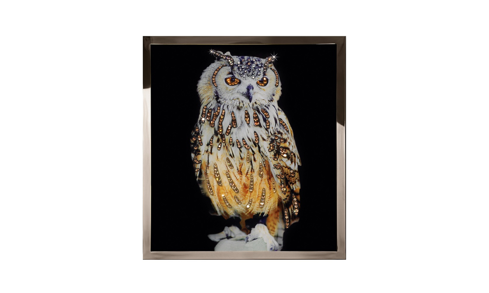 Painting Visionnaire Gufo Mini