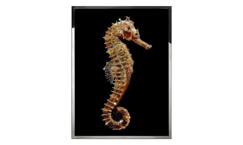Painting Visionnaire Hippocampus