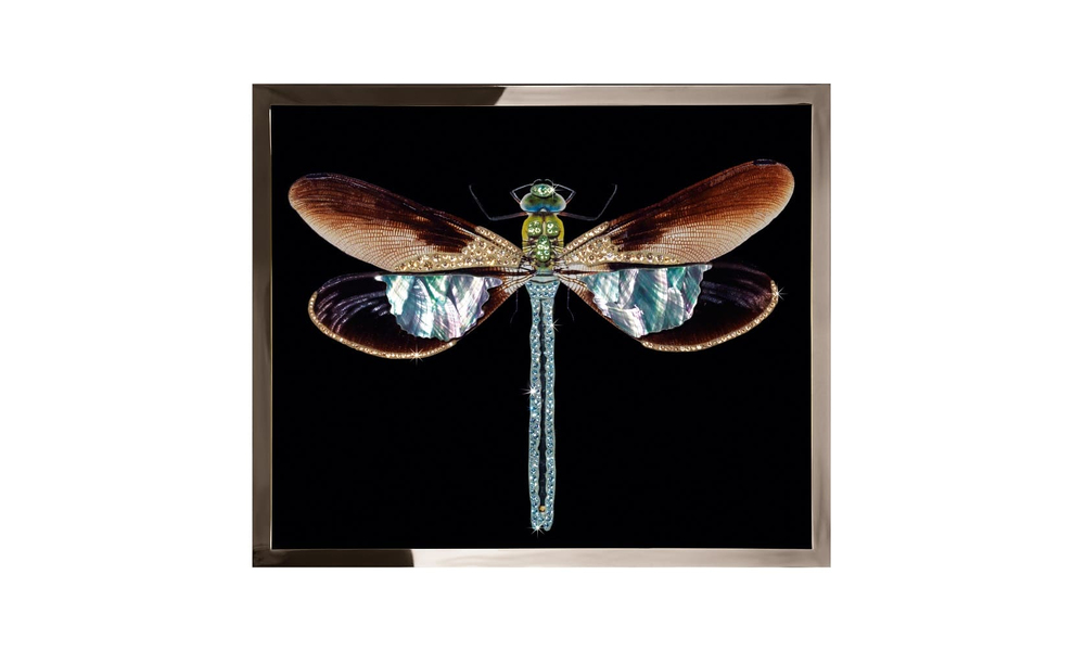 Painting Visionnaire Libellula Mini