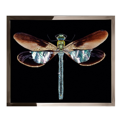 Painting Visionnaire Libellula Mini