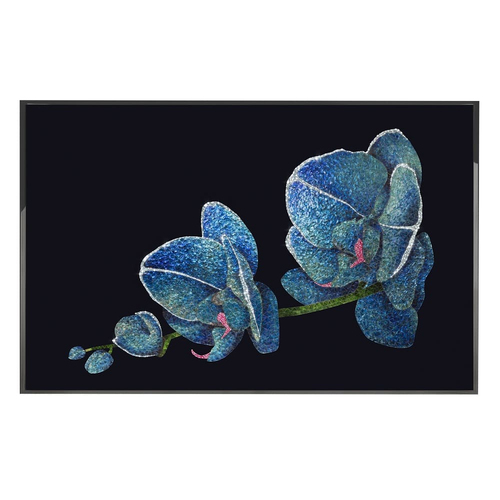 Painting Visionnaire Orchidea Blu