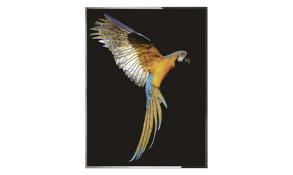 Painting Visionnaire Parrot Ara
