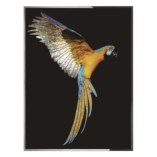 Painting Visionnaire Parrot Ara