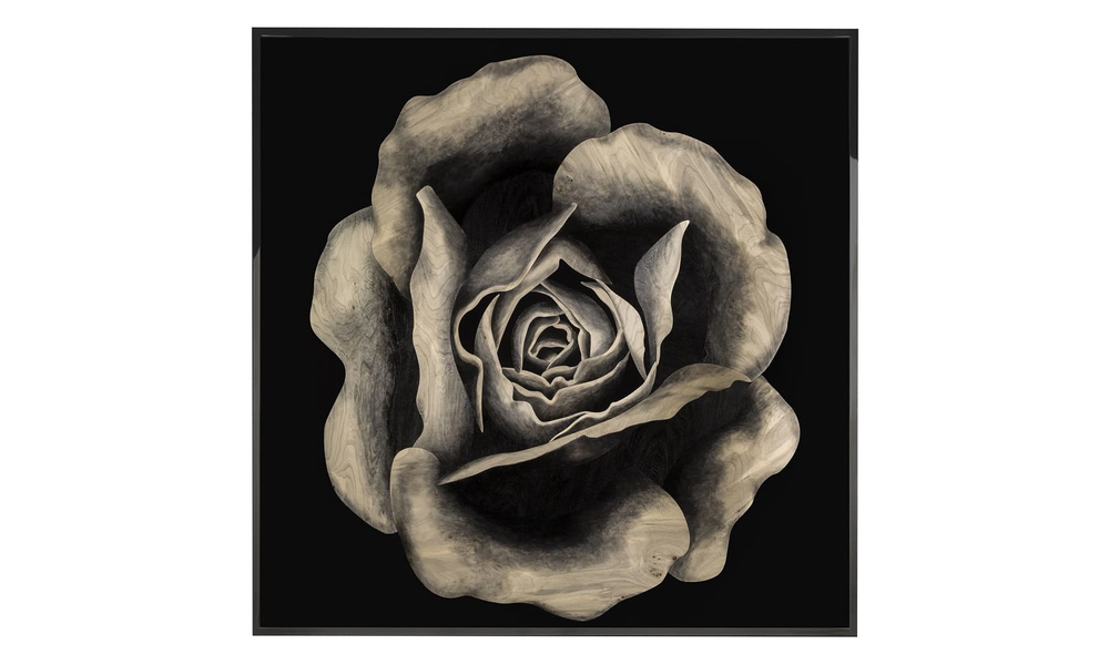 Painting Visionnaire Rosa Fossile