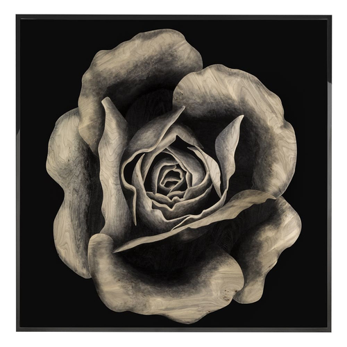 Painting Visionnaire Rosa Fossile