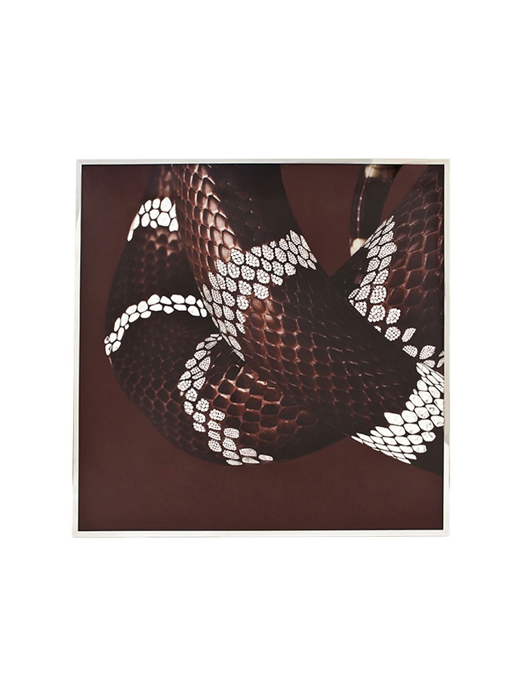 Painting Visionnaire Serpenti в интерьере