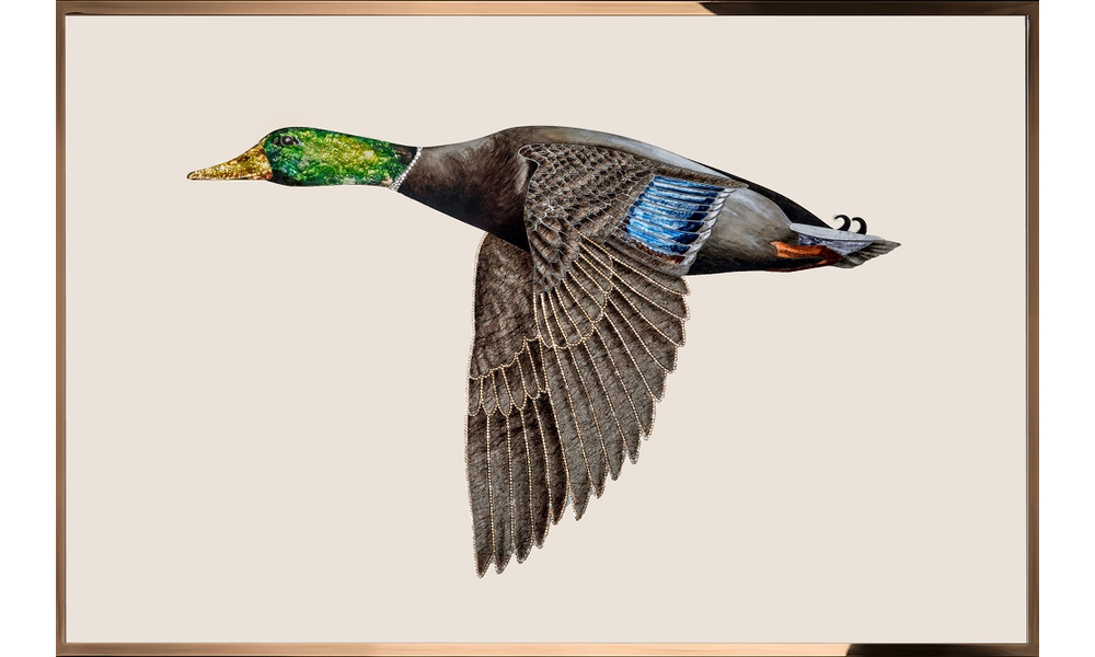 Painting Visionnaire Anatra in Volo