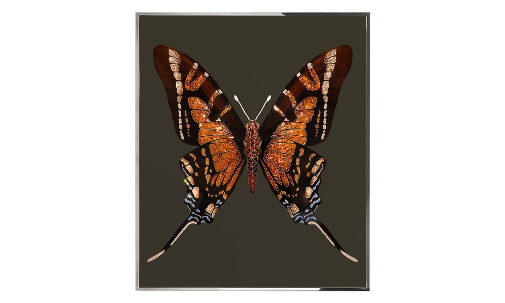 Painting Visionnaire Brown Butterfly