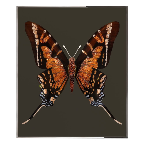 Painting Visionnaire Brown Butterfly