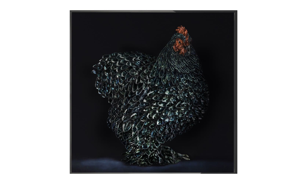Painting Visionnaire Gallo Cedrone