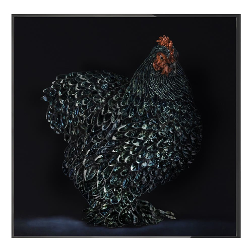 Painting Visionnaire Gallo Cedrone