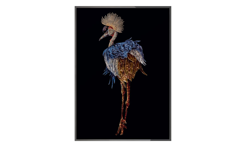 Painting Visionnaire Gru Coronata