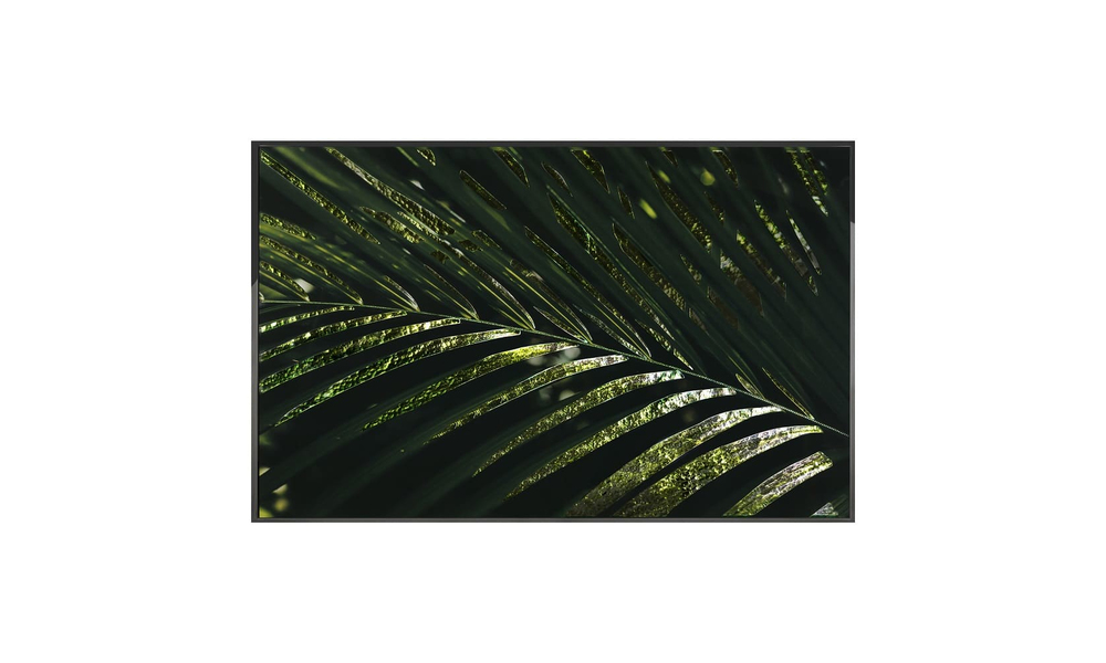 Painting Visionnaire Kentia