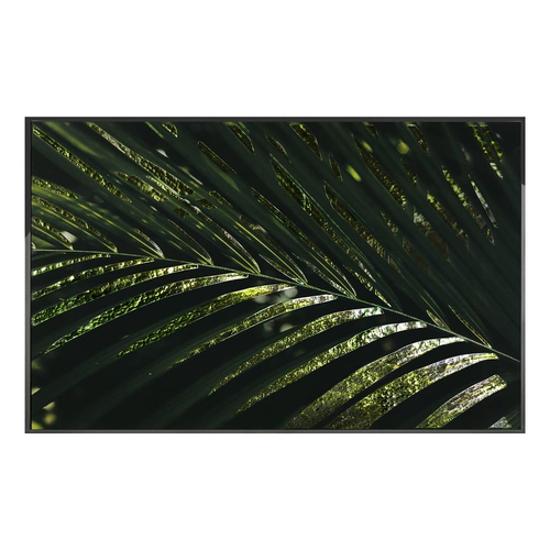 Painting Visionnaire Kentia