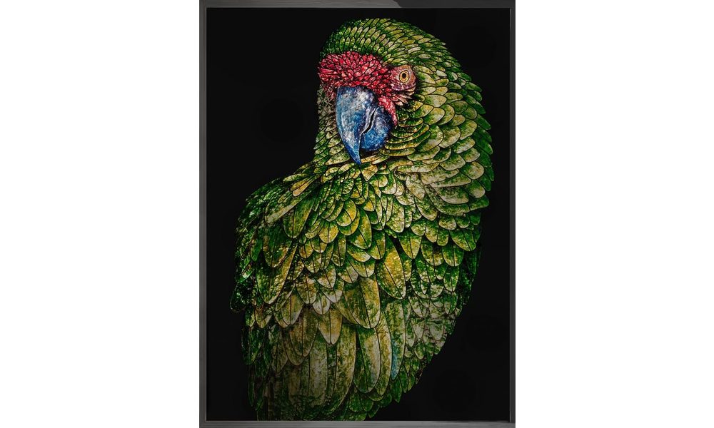 Painting Visionnaire Parrot Fred