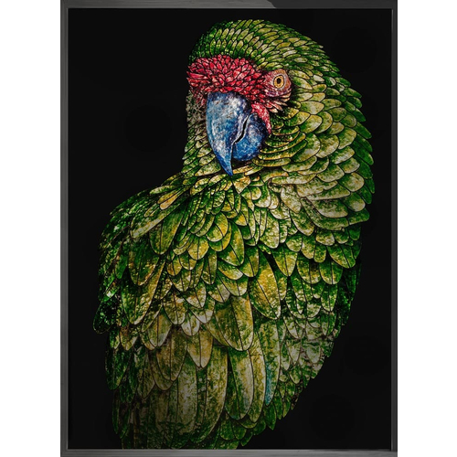 Painting Visionnaire Parrot Fred