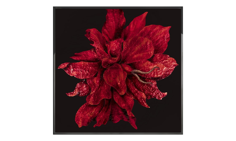 Painting Visionnaire Red Flower
