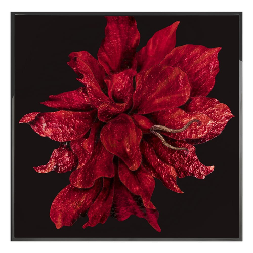 Painting Visionnaire Red Flower