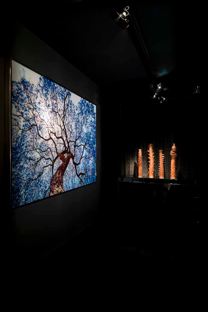 Painting Visionnaire Tree of Dream в интерьере
