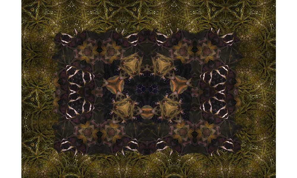 Painting Visionnaire Wild Green