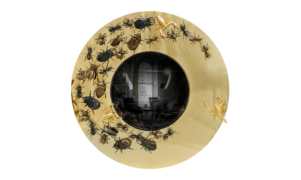 Mirror Boca Do Lobo Convex Metamorphosis