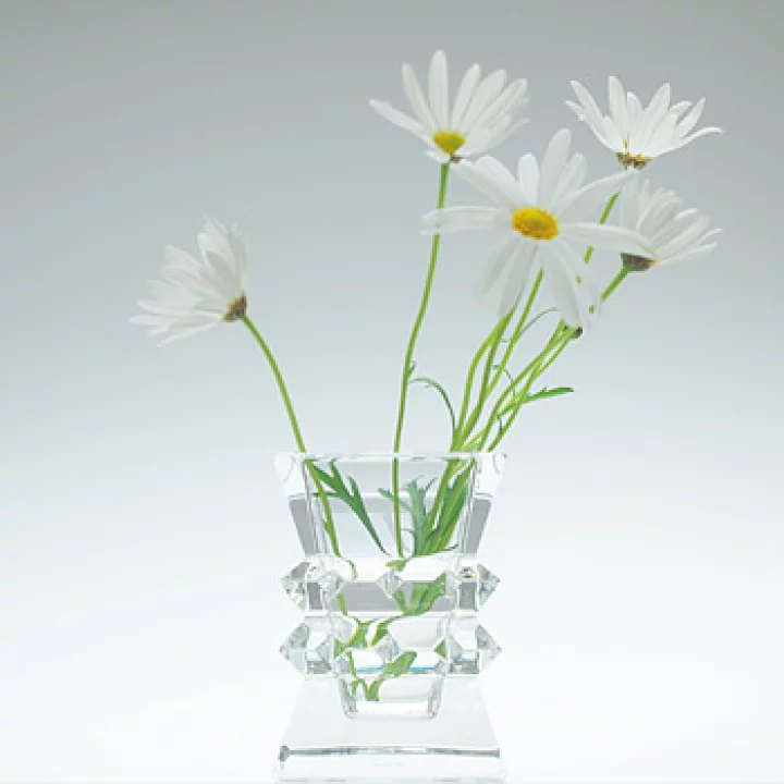 Vase Baccarat Colombine в интерьере
