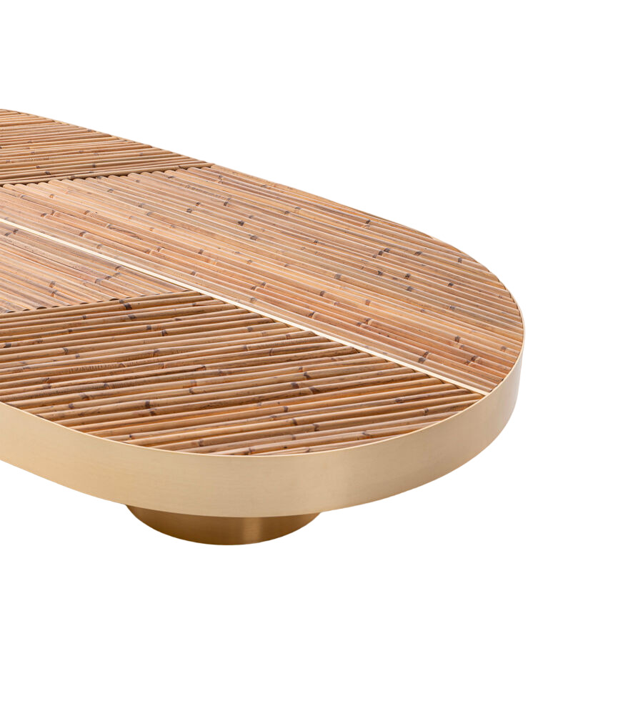 Coffee table Fendi Astuccio Canes в интерьере