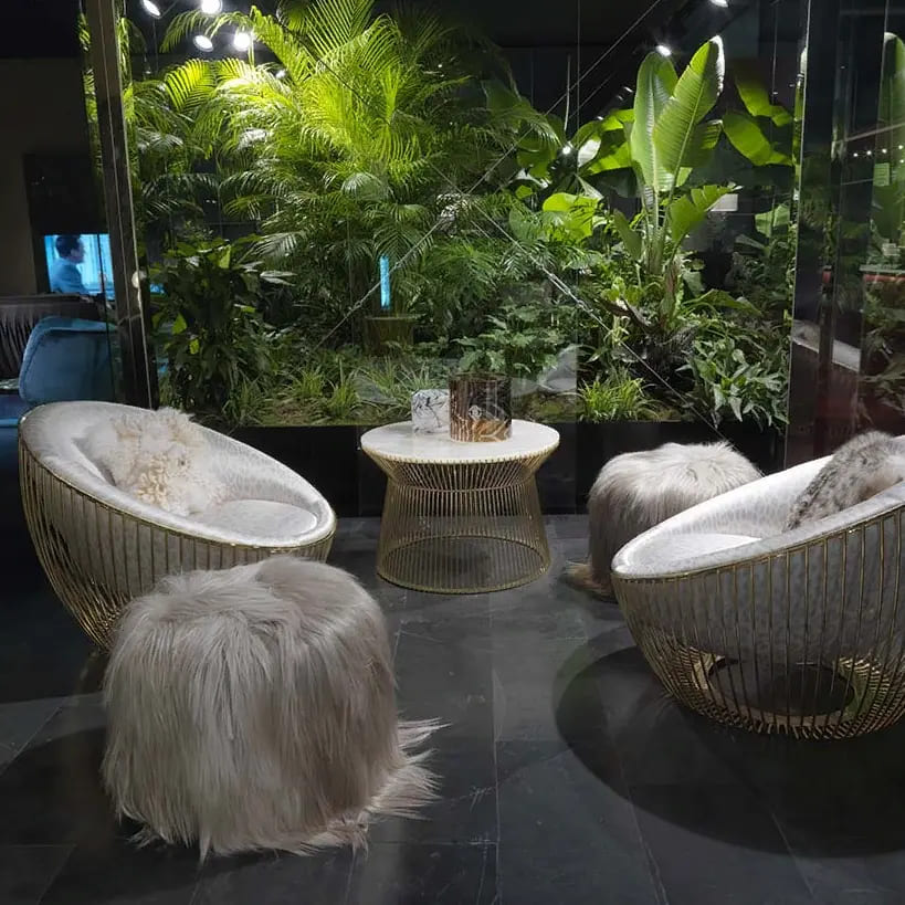Cavalli Cosmopolitan Armchair в интерьере