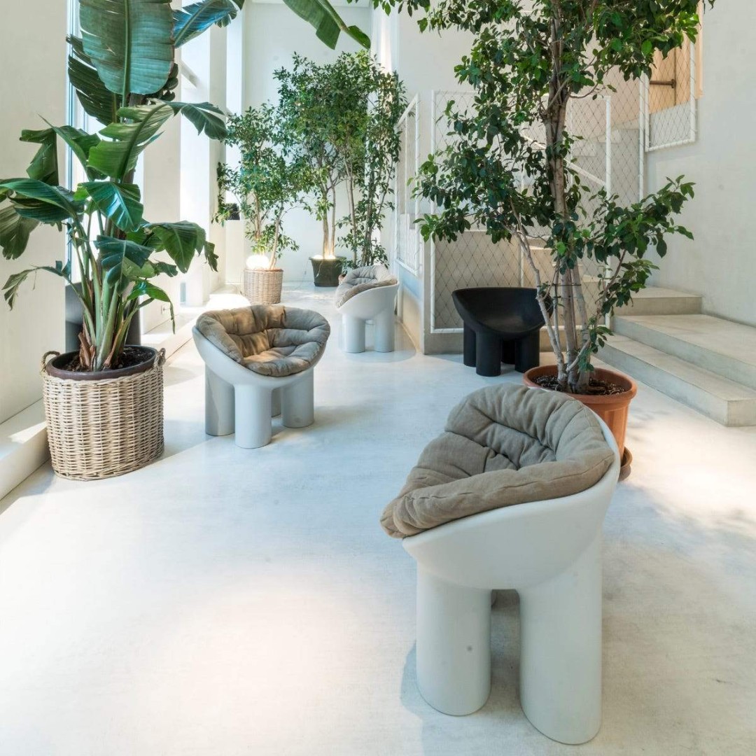 Driade Roly Poly Armchair в интерьере