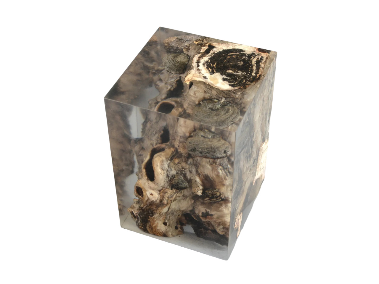 Corner table ALCAROL Fungi в интерьере