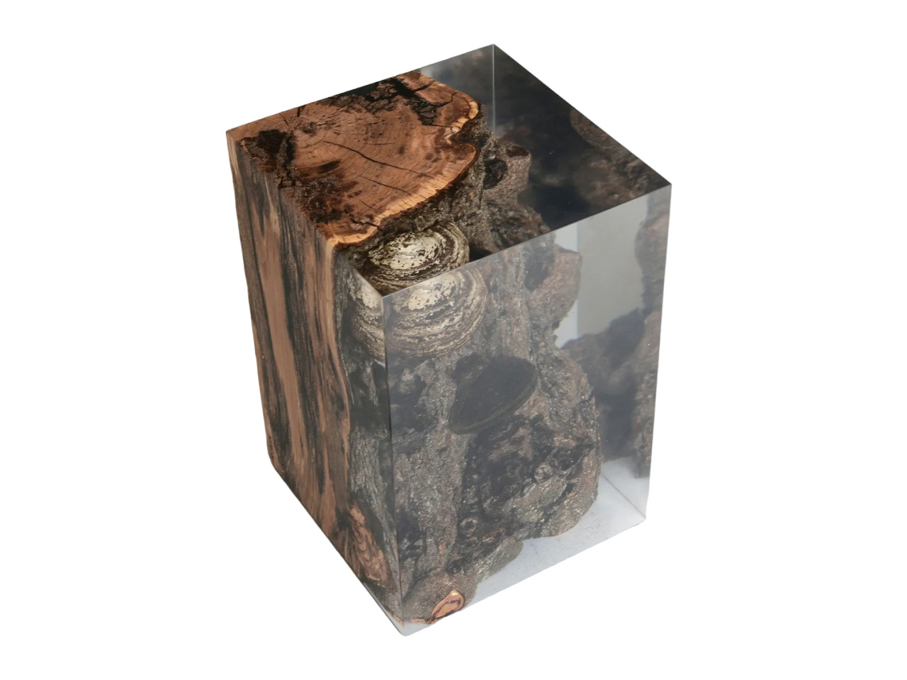 Corner table ALCAROL Fungi в интерьере