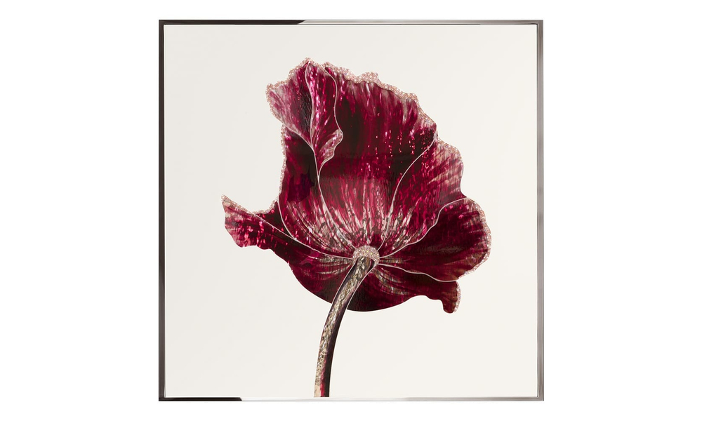 Visionnaire Opium