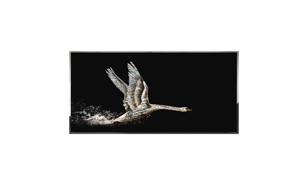 Visionnaire Swan