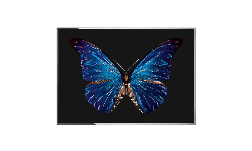 Visionnaire Farfalla