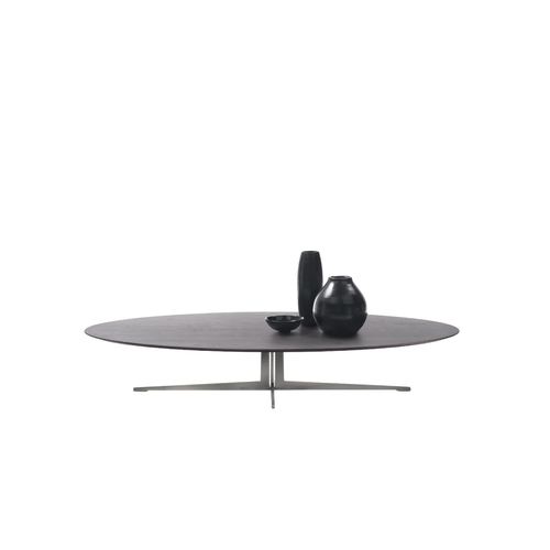 Flexform Fly coffee table
